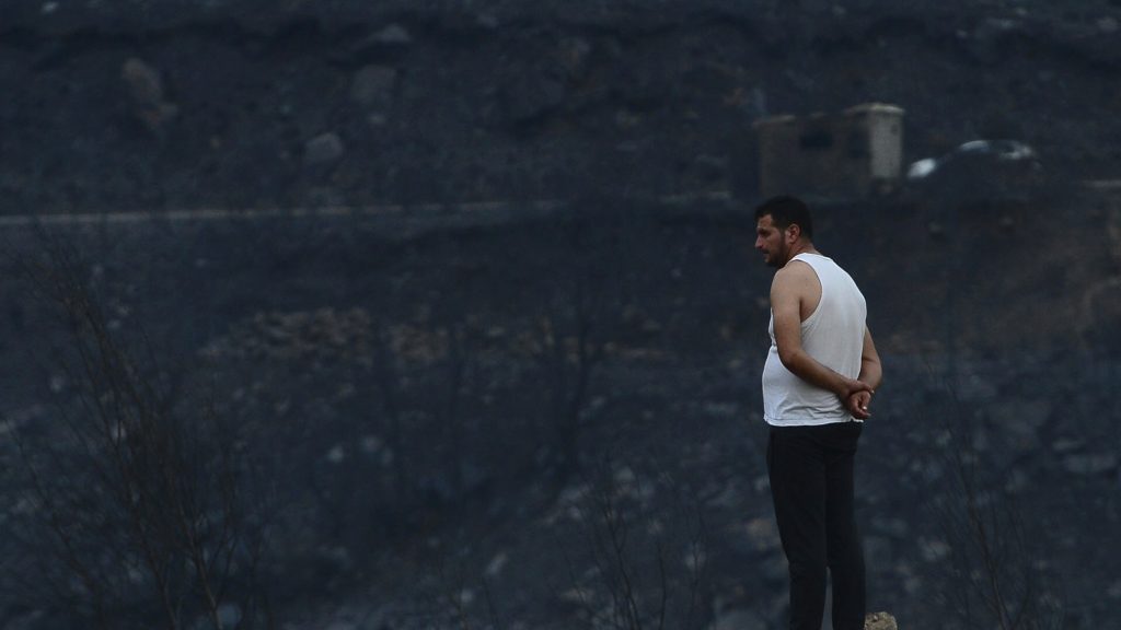 A man looks at the aftermath of a raging wildfire, in Bouira, 100 km from Algiers, Algeria, Monday, July 24, 2023. Wildfires raging across Algeria have killed at least 25 people, including soldiers trying to get the flames under control in the face of high winds and scorching summer temperatures, government ministries said Monday. (AP Photo) XMS107