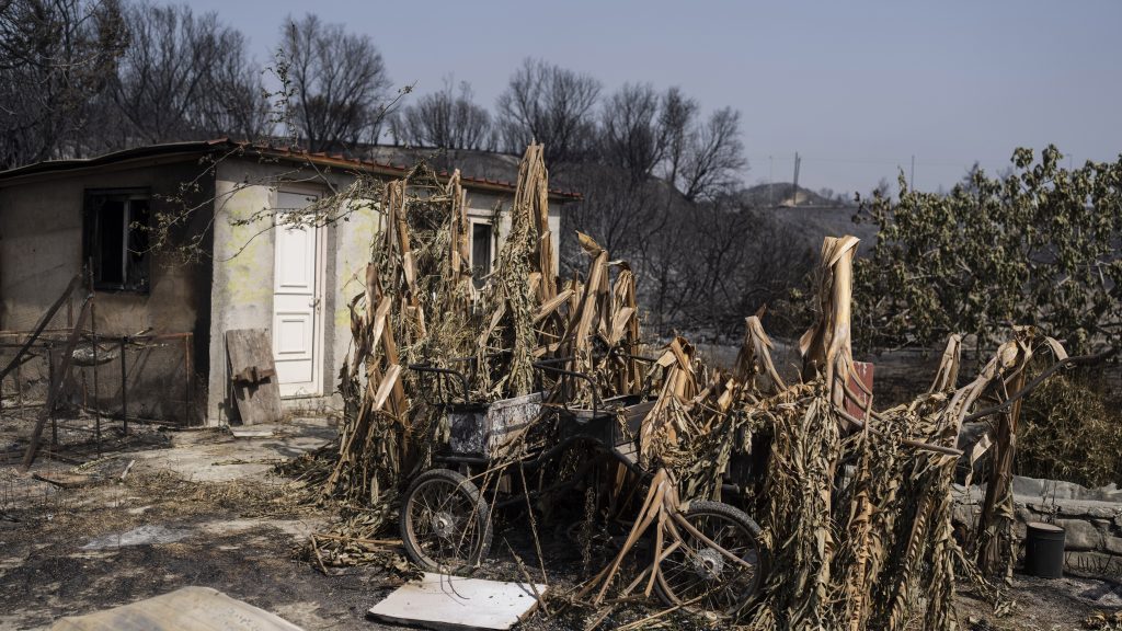 Burnt trees and vegetation are seen after a wildfire near Gennadi village, on the Aegean Sea island of Rhodes, southeastern Greece, on Thursday, July 27, 2023. The wildfires have raged across parts of the country during three successive Mediterranean heat waves over two weeks, leaving five people dead. (AP Photo/Petros Giannakouris) XTS101