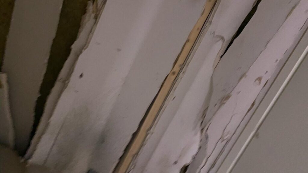 Foto: Hassan Al berkawy