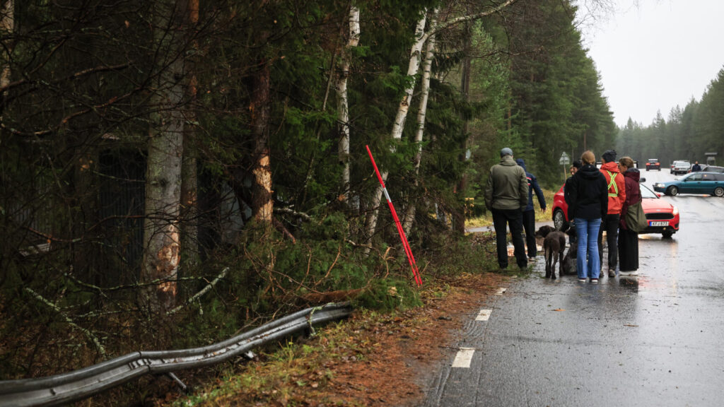 LULEÅ, SVERIGE 20241020
Människor samlas på platsen där tre unga män avlidit i en trafikolycka i Luleå natten mot söndagen. En ung kvinna skadades svårt.
Foto: Fredrik Sundvall / TT / Kod 11555