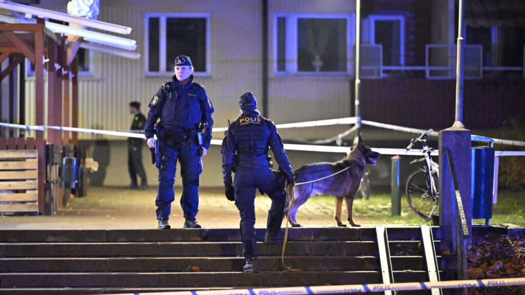 MALMÖ, SVERIGE 20241111
Polis på plats vid en restauranglokal på Kattarpstorget i Malmö på måndagskvällen efter larm om skottlossning. Enligt polisens hemsida skall en man med misstänkta skottskador påträffats inne på en restaurang.
Foto: Johan Nilsson / TT / Kod 50090