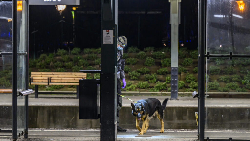 LUND 2025-01-28
Polisens sökte av spåren med specialsökhund på Lund C på tisdagskvällen efter larm om en skottlossning. En man har avlidit efter skottlossningen och all tågtrafik är stoppad.
Foto: Johan Nilsson / TT / Kod 50090