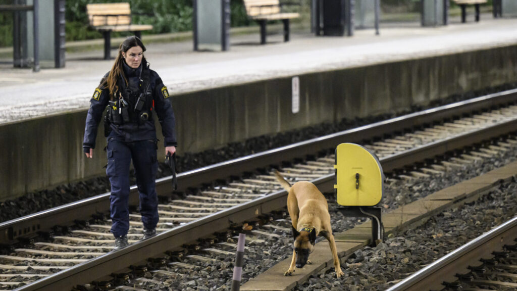 LUND 2025-01-28
Polisens sökte av spåren med specialsökhund på Lund C på tisdagskvällen efter larm om en skottlossning. Enligt initiala uppgifter skall en person skadats vid händelsen. All tågtrafik är stoppad.
Foto: Johan Nilsson / TT / Kod 50090