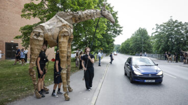 STOCKHOLM, SVERIGE 20250724
Konstprojektet the Herds i Skärholmen.
Foto: Pär Bäckström / TT / Kod 11900
