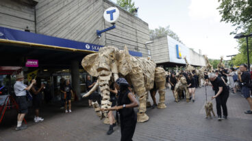 STOCKHOLM, SVERIGE 20250724
Konstprojektet the Herds i Skärholmen.
Foto: Pär Bäckström / TT / Kod 11900