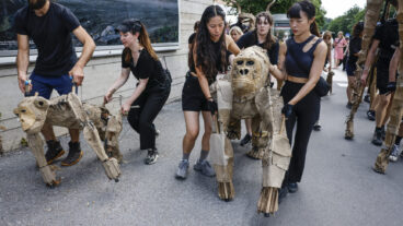 STOCKHOLM, SVERIGE 20250724
Konstprojektet the Herds i Skärholmen.
Foto: Pär Bäckström / TT / Kod 11900
