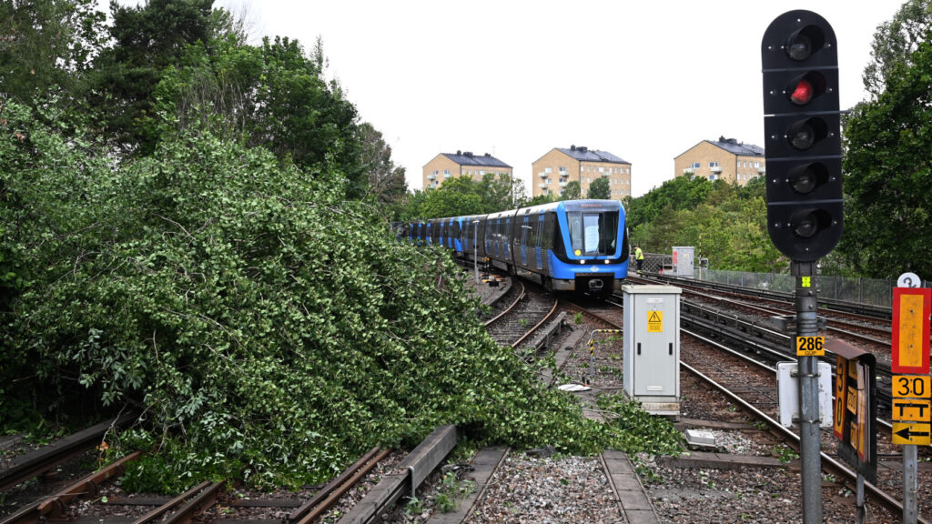 STOCKHOLM, SVERIGE 20250703
Ett träd har blåst ner på tunnelbanespåren vid Skärmabrink i södra Stockholm. SMHI har utfärdat en gul varning för blåst och mycket hårda vindbyar under torsdagseftermiddagen i Östra Svealand.
Foto: Anna Hållams / TT / Kod 62610