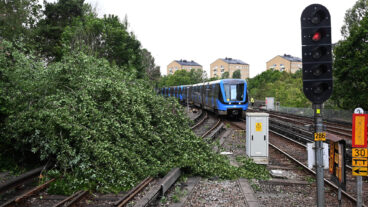 STOCKHOLM, SVERIGE  20250703
Ett träd har blåst ner på tunnelbanespåren vid Skärmabrink i södra Stockholm. SMHI har utfärdat en gul varning för blåst och mycket hårda vindbyar under torsdagseftermiddagen i Östra Svealand.
Foto: Anna Hållams / TT / Kod 62610
