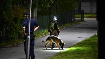 STOCKHOLM, SVERIGE 20250711
Polis på plats med hundförare i Vårby i Huddinge söder om Stockholm efter att en man skjutits på fredagskvällen.  Mannen är förd till sjukhus, skadeläget är oklart. Jakt på gärninspersonerna pågår i flera kommuner i södra Stockholm uppger polisen. 
Foto: Anders Wiklund / TT / Kod 10040