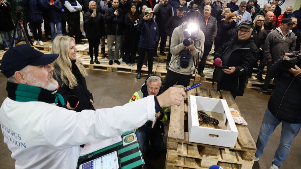 مزاد الكركند في يوتيبوري
Foto: Adam Ihse / TT