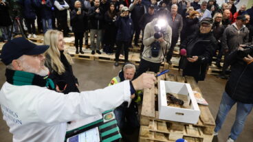 مزاد الكركند في يوتيبوري
Foto: Adam Ihse / TT