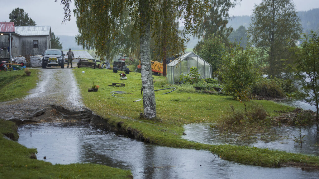 ÖRNSKÖLDSVIK, SVERIGE 20250911
Vägen upp till hus som har brustit på grund av de stora vattenmängderna i Kubbe, nordväst om Örnsköldsvik, som drabbats hårt av söndagens skyfall i Ångermanland.
Foto: Caisa Rasmussen / TT / Kod 12150