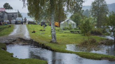 ÖRNSKÖLDSVIK, SVERIGE 20250911
Vägen upp till hus som har brustit på grund av de stora vattenmängderna i Kubbe, nordväst om Örnsköldsvik, som drabbats hårt av söndagens skyfall i Ångermanland.
Foto: Caisa Rasmussen / TT / Kod 12150