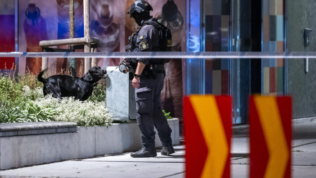 MALMÖ 2025-09-03
Bombtekniker med hund undersöker splitterskador i en entré på Mariedalsvägen vid Kronprinsen i Malmö efter en detonation tidigt på onsdagsmorgonen.
Foto: Johan Nilsson / TT / Kod 50090