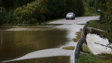 KRAMFORS 20250907
Översvämningar på väg 786 mot Höga Kusten Airport.
Räddningstjänsten Mittnorrland uppmanar boende i Kramfors, Sollefteå, Örnsköldsviks och Härnösands kommun att ”undvika att bege er ut på vägnätet på grund av många underminerade vägar”.
Foto: Mats Andersson / TT / kod 14315