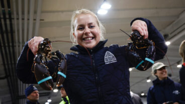 GÖTEBORG, SVERIGE 20250923
Årets första humrar gick till Feskekörka, där fiskhandlaren Tove Manning kunde ta emot dem. Kilopriset landade på 51 00 kronor.
Foto: Adam Ihse / TT / Kod 9200