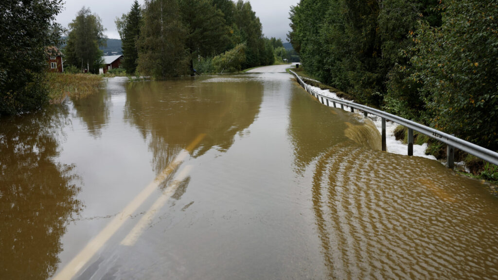 KRAMFORS 20250907
Översvämningar på väg 786 mot Höga Kusten Airport.
Räddningstjänsten Mittnorrland uppmanar boende i Kramfors, Sollefteå, Örnsköldsviks och Härnösands kommun att ”undvika att bege er ut på vägnätet på grund av många underminerade vägar”.
Foto: Mats Andersson / TT / kod 14315