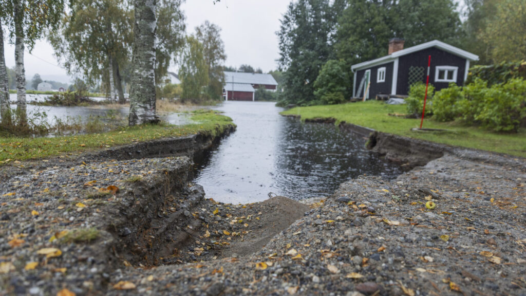 ÖRNSKÖLDSVIK, SVERIGE 20250911
Vägen upp till hus som har brustit på grund av de stora vattenmängderna i Kubbe, nordväst om Örnsköldsvik, som drabbats hårt av söndagens skyfall i Ångermanland.
Foto: Caisa Rasmussen / TT / Kod 12150