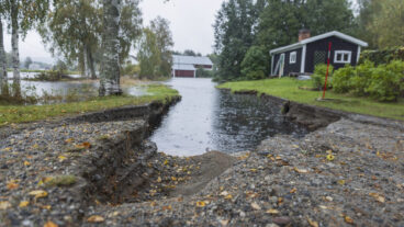 ÖRNSKÖLDSVIK, SVERIGE 20250911
Vägen upp till hus som har brustit på grund av de stora vattenmängderna i Kubbe, nordväst om Örnsköldsvik, som drabbats hårt av söndagens skyfall i Ångermanland.
Foto: Caisa Rasmussen / TT / Kod 12150
