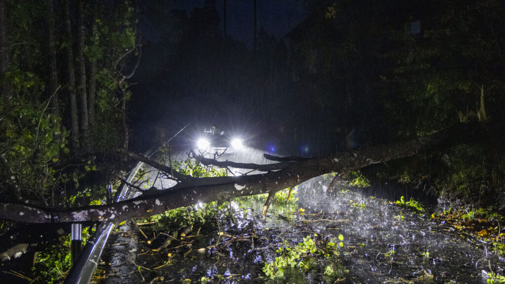 Kristiansand 20251004.
Lørdag morgen i Kristiansand ved Kongshavnveien i Randesund der stormen Amy har blåst ned store trær og blokkerer folk fra å komme på jobb.
Foto: Tor Erik Schrøder / NTB
