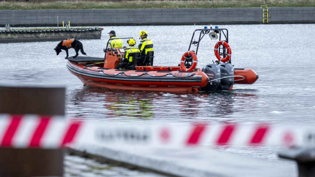 HELSINGÖR 2026-01-01
Dansk politi söker med båt och hund i hamnen i Helsingör på torsdagen efter att en svensk 16-åring försvunnit natten till nyårsafton. 16-åringens jacka och plånbok har hittats i hamnen. Även danska militärens dykare arbetar på platsen.
Foto: Johan Nilsson / TT / Kod 50090
