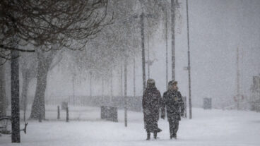 STOCKHOLM 20260101 Stormen Anna drar in över Stockholm med kraftigt snöfall. 
Foto Mats Schagerström / TT kod 70500