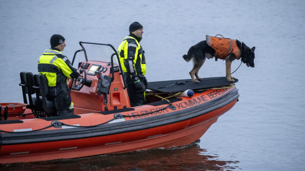 HELSINGÖR 2026-01-01
Dansk politi söker med båt och hund i hamnen i Helsingör på torsdagen efter att en svensk 16-åring försvunnit natten till nyårsafton. 16-åringens jacka och plånbok har hittats i hamnen. Även danska militärens dykare arbetar på platsen.
Foto: Johan Nilsson / TT / Kod 50090