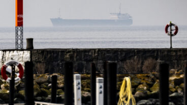 TRELLEBORG 2026-03-07
Det bordade guineaflaggade lastfartyget Caffa utanför Trelleborg i diset på lördagen. Kustbevakning och polis bordade det knappt 100 meter långa lastfartyget Caffa på fredagskvällen. Kustbevakningen skriver på sin hemsida att myndigheten inlett en förundersökning gällande ”misstänkt brott mot sjölagen gällande bristande sjövärdighet” och att fartyget är statslöst.
Foto: Johan Nilsson / TT / Kod 50090