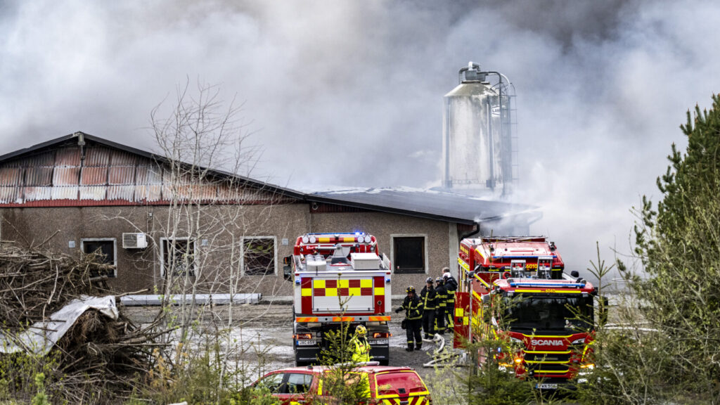 PERSTORP 2026-05-16
Räddningstjänsten på plats vid en brand i ett hönseri norr om Perstorp på lördagseftermiddagen. Det fanns omkring 48 000 höns i byggnaden, skriver Helsingborgs Dagblad.
Foto: Johan Nilsson / TT / Kod 50090
