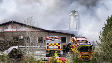 PERSTORP 2026-05-16  
Räddningstjänsten på plats vid en brand i ett hönseri norr om Perstorp på lördagseftermiddagen. Det fanns omkring 48 000 höns i byggnaden, skriver Helsingborgs Dagblad. 
Foto: Johan Nilsson / TT / Kod 50090