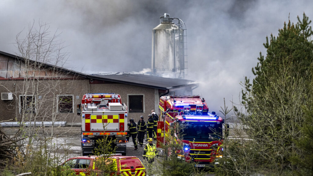 PERSTORP 2026-05-16
Räddningstjänsten och polisen på plats vid en brand i ett hönseri norr om Perstorp på lördagseftermiddagen. Det fanns omkring 48 000 höns i byggnaden, skriver Helsingborgs Dagblad.
Foto: Johan Nilsson / TT / Kod 50090