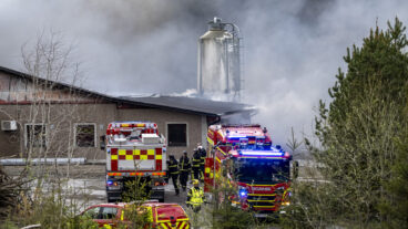 PERSTORP 2026-05-16  
Räddningstjänsten och polisen på plats vid en brand i ett hönseri norr om Perstorp på lördagseftermiddagen. Det fanns omkring 48 000 höns i byggnaden, skriver Helsingborgs Dagblad. 
Foto: Johan Nilsson / TT / Kod 50090