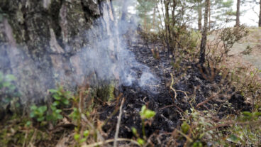 GÖTEBORG, SVERIGE 20260503
En skogsbrand har brutit ut i Delsjöområdet i Göteborgs kommun och har pågått sedan lördagseftermiddagen. Räddningstjänsten är på plats och arbetar med att bekämpa branden.
Foto: Adam Ihse / TT / Kod 9200