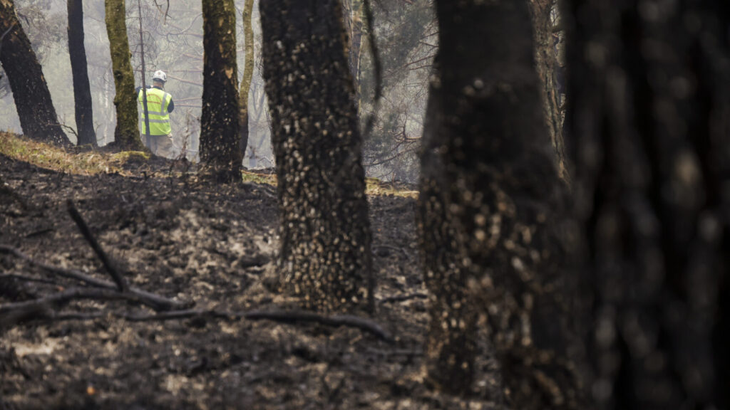 GÖTEBORG, SVERIGE 20260503
En skogsbrand har brutit ut i Delsjöområdet i Göteborgs kommun och har pågått sedan lördagseftermiddagen. Räddningstjänsten är på plats och arbetar med att bekämpa branden.
Foto: Adam Ihse / TT / Kod 9200