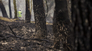 GÖTEBORG, SVERIGE 20260503
En skogsbrand har brutit ut i Delsjöområdet i Göteborgs kommun och har pågått sedan lördagseftermiddagen. Räddningstjänsten är på plats och arbetar med att bekämpa branden.
Foto: Adam Ihse / TT / Kod 9200