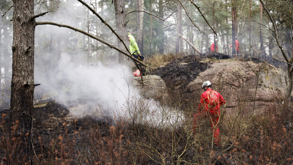 GÖTEBORG, SVERIGE 20260503
En skogsbrand har brutit ut i Delsjöområdet i Göteborgs kommun och har pågått sedan lördagseftermiddagen. Räddningstjänsten är på plats och arbetar med att bekämpa branden.
Foto: Adam Ihse / TT / Kod 9200
