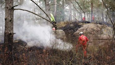GÖTEBORG, SVERIGE 20260503
En skogsbrand har brutit ut i Delsjöområdet i Göteborgs kommun och har pågått sedan lördagseftermiddagen. Räddningstjänsten är på plats och arbetar med att bekämpa branden.
Foto: Adam Ihse / TT / Kod 9200