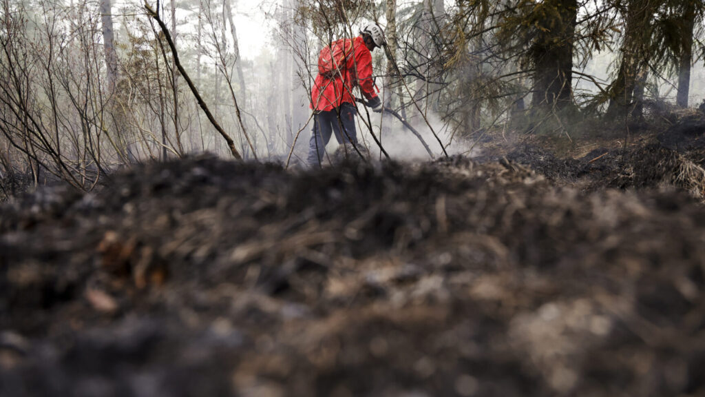 GÖTEBORG, SVERIGE 20260503
En skogsbrand har brutit ut i Delsjöområdet i Göteborgs kommun och har pågått sedan lördagseftermiddagen. Räddningstjänsten är på plats och arbetar med att bekämpa branden.
Foto: Adam Ihse / TT / Kod 9200