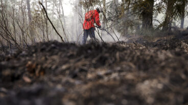 GÖTEBORG, SVERIGE 20260503
En skogsbrand har brutit ut i Delsjöområdet i Göteborgs kommun och har pågått sedan lördagseftermiddagen. Räddningstjänsten är på plats och arbetar med att bekämpa branden.
Foto: Adam Ihse / TT / Kod 9200