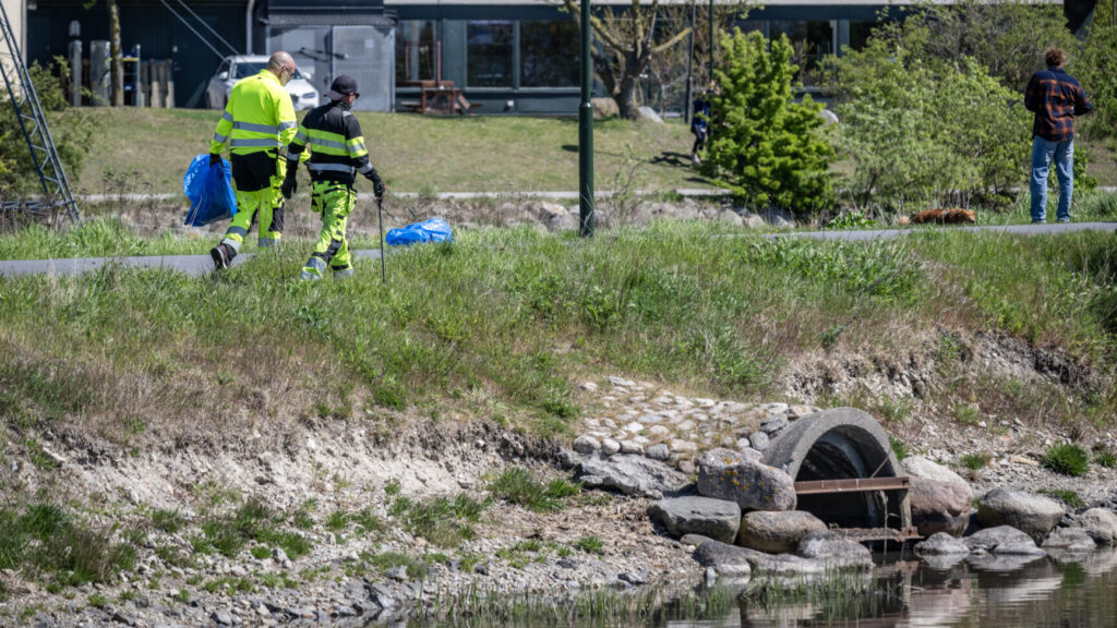 MALMÖ 2026-05-09
Stängd wakepark, badförbud och döda fiskar när bajsvattnet sprider sig i kanalen från pumpstationen Turbinen ut mot havet i Västra Hamnen i Malmö på lördagen. VA Syd släppte under flera dagar ut avloppsvatten i kanalen i Malmö medan man arbetade med en läcka på en huvudavloppsledning. När det orenade avloppsvattnet nu rinner vidare genom kanalsystemet ut mot havet ses ett stort antal döda fiskar i Turbinkanalen. På lördagen sanerade personal från Malmö stad området samtidigt som anslag om avrådan för bad för både människor och hundar sats upp på hundrastplatsen på Ribban och längs Sundspromenaden i Västra hamnen sats upp.
Foto: Johan Nilsson / TT / Kod 50090