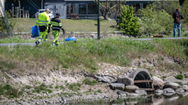 MALMÖ 2026-05-09 
Stängd wakepark, badförbud och döda fiskar när bajsvattnet sprider sig i kanalen från pumpstationen Turbinen ut mot havet i Västra Hamnen i Malmö på lördagen. VA Syd släppte under flera dagar ut avloppsvatten i kanalen i Malmö medan man arbetade med en läcka på en huvudavloppsledning. När det orenade avloppsvattnet nu rinner vidare genom kanalsystemet ut mot havet ses ett stort antal döda fiskar i Turbinkanalen. På lördagen sanerade personal från Malmö stad området samtidigt som anslag om avrådan för bad för både människor och hundar sats upp på hundrastplatsen på Ribban och längs Sundspromenaden i Västra hamnen sats upp. 
Foto: Johan Nilsson / TT / Kod 50090