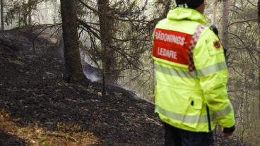 GÖTEBORG, SVERIGE 20260503
En skogsbrand har brutit ut i Delsjöområdet i Göteborgs kommun och har pågått sedan lördagseftermiddagen. Räddningstjänsten är på plats och arbetar med att bekämpa branden.
Foto: Adam Ihse / TT / Kod 9200