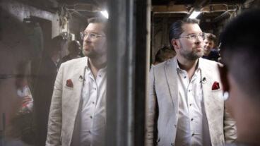 KLIPPAN, SVERIGE 20260529
Sverigedemokraternas partiledare Jimmie Åkesson (SD) träffar kor i samband med att han presenterar partiets nya landsbygdspolitiska program inför valet under en pressträff i Klippan på fredagen.
Foto: Adam Ihse / TT / Kod 9200