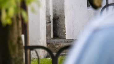 LANDSKRONA
 2026-05-19  
Sot och skador på en port innanför polisens avspärrningar på Tranegatan i Landskrona på tisdagsförmiddagen efter larm om en explosion vid ett flerfamiljshus. 
Foto: Johan Nilsson / TT / Kod 50090