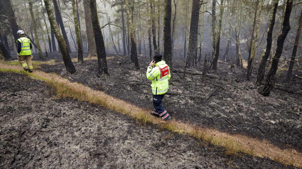 GÖTEBORG, SVERIGE 20260503
En skogsbrand har brutit ut i Delsjöområdet i Göteborgs kommun och har pågått sedan lördagseftermiddagen. Räddningstjänsten är på plats och arbetar med att bekämpa branden.
Foto: Adam Ihse / TT / Kod 9200