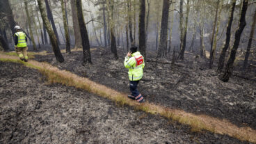 GÖTEBORG, SVERIGE 20260503
En skogsbrand har brutit ut i Delsjöområdet i Göteborgs kommun och har pågått sedan lördagseftermiddagen. Räddningstjänsten är på plats och arbetar med att bekämpa branden.
Foto: Adam Ihse / TT / Kod 9200