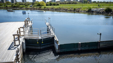 MALMÖ 2026-05-09 
Stängd wakepark, badförbud och döda fiskar när bajsvattnet sprider sig i kanalen från pumpstationen Turbinen ut mot havet i Västra Hamnen i Malmö på lördagen. VA Syd släppte under flera dagar ut avloppsvatten i kanalen i Malmö medan man arbetade med en läcka på en huvudavloppsledning. När det orenade avloppsvattnet nu rinner vidare genom kanalsystemet ut mot havet ses ett stort antal döda fiskar i Turbinkanalen. På lördagen sanerade personal från Malmö stad området samtidigt som anslag om avrådan för bad för både människor och hundar sats upp på hundrastplatsen på Ribban och längs Sundspromenaden i Västra hamnen sats upp. 
Foto: Johan Nilsson / TT / Kod 50090