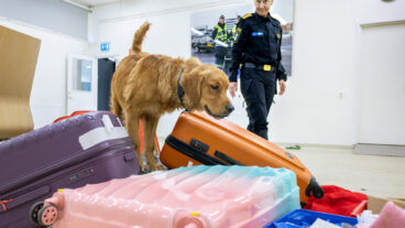 STOCKHOLM 20260519
Anna-Karin Edström Lundemo, enhetschef hundenheten, med hunden Castor , på Tullverkets hundskola i Rosersberg.
Foto: Claudio Bresciani / TT / Kod 10090