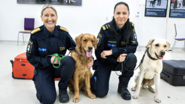 STOCKHOLM 20260519
Anna-Karin Edström Lundemo, enhetschef hundenheten, med hunden Castor och Sanna Häll, instruktör, med hunden Sting, på Tullverkets hundskola i Rosersberg.
Foto: Claudio Bresciani / TT / Kod 10090