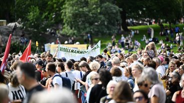 STOCKHOLM, SVERIGE 20260823
Demonstranter samlas i Vasaparken när Naturskyddsföreningen tillsammans med Rebellmammorna, Rebellpapporna och Researchers Desk anordnad en stor klimatdemonstration i Stockholm under söndagen.
Foto: Christine Olsson / TT / Kod 10430